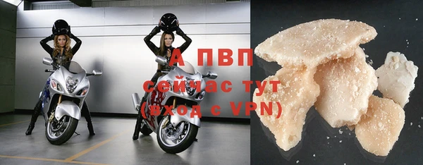 гашиш Богданович