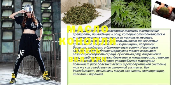 гашиш Богданович