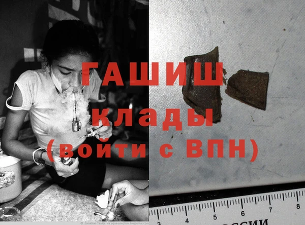 ешки Бородино