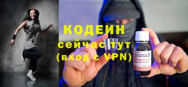 мдпв Богородск