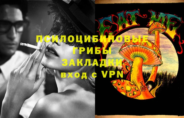 гашиш Богданович