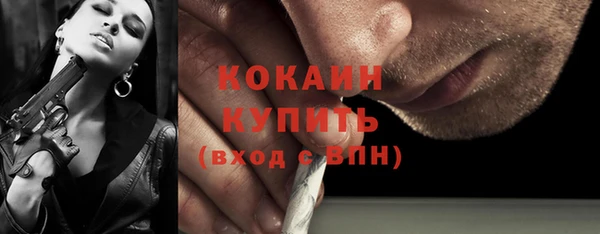 мдпв Богородск