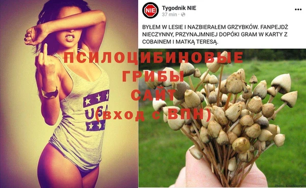 ешки Бородино
