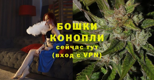 гашиш Богданович