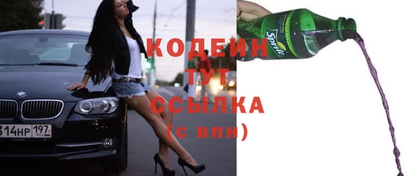 ешки Бородино